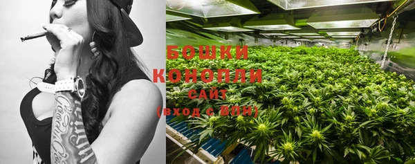 молекула духа Белоозёрский
