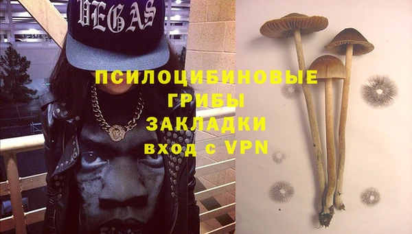 прущая мука Белокуриха