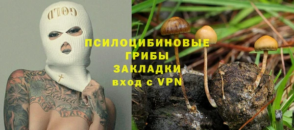 молекула духа Белоозёрский