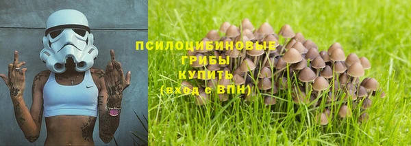 молекула духа Белоозёрский