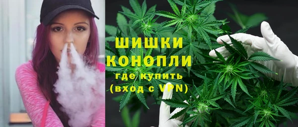 молекула духа Белоозёрский