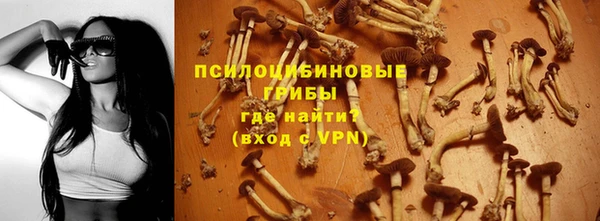прущая мука Белокуриха