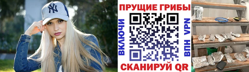 купить  цена  Магас  ссылка на мегу как войти  Галлюциногенные грибы Magic Shrooms 